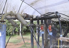 Filtri per irrigazione e stazione di pompaggio.