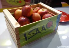 La celebre mela "tascabile" Isaaq.