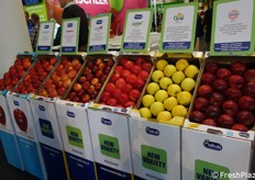 Melinda sta gradualmente introducendo nuove varietà nei suoi frutteti già esistenti, con la messa a dimora di circa 200mila alberi ogni anno. La produzione di queste nuove varietà entrerà a pieno regime nel 2025.