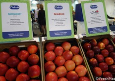 Le nuove varietà esposte presso lo stand APOT/Melinda/La Trentina hanno tutte già superato i primi due anni di sperimentazione in campo. Morgana è stata presentata ufficialmente durante l'edizione 2018 di Fruit Attraction (leggi precedente news), Gradisca (nome varietale) è un incrocio tra Pink Lady e Golden, cui presto sarà attribuito un nome commerciale, mentre Isaaq è la mela snack nata diversi anni fa da una collaborazione tra CIV e KIKU (leggi precedente news).