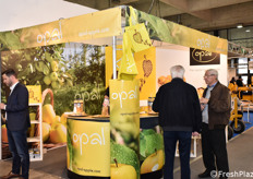 Presente anche in questa edizione di Interpoma lo stand Opal, una mela della categoria "golden". Leggi la storia di Opal in un precedente articolo apparso su FreshPlaza (clicca qui). 