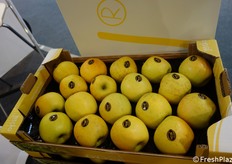 Opal, una mela dorata che non imbrunisce dopo il taglio.