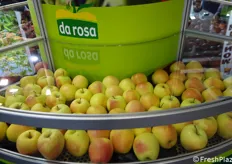 Parsi Da Rosa, un clone della varietà Golden introdotto oltre dieci anni fa (leggi precedente notizia).