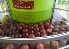 SchniCo red®, mutazione gemmaria di Gala Schniga® Schnitzer(S) - leggi precedente articolo.