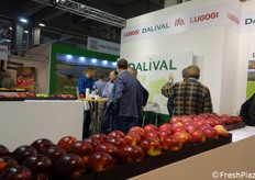 Stand vivaistico collettivo con le aziende Ligogi e Dalival.