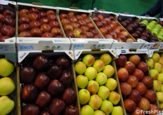 Esposizione di mele.