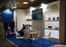 Icoel: impianti di misurazione, controllo qualità, elaborazione elettronica, prezzatrici, etichettatrici, impianti di cernita, svuotamento e riempimento casse, macchine per la lavorazione della frutta.