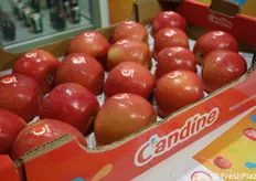 Il nome Candine è stato scelto perché suona bene in Francese e perché - in Italiano - evoca il "candito", che denota una delle caratteristiche di questa mela: la bassa acidità e il sapore dolce. Si tratta di una mela idonea tanto alla coltivazione di pianura, quanto ad altitudini maggiori.