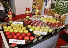 Un bell'assortimento di varietà di mele nello stand Holland Alma.