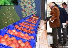 Diverse varietà di mele esposte nell'area del Centro Laimburg.