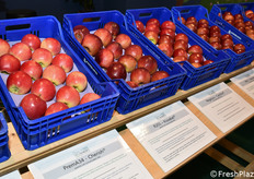 Alcune delle cultivar esposte a Interpoma dal Centro di Sperimentazione Laimburg.
