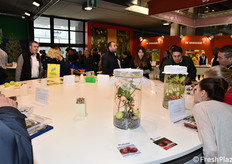 Molto interesse tra i visitatori di Interpoma per un'esposizione dimostrativa del Centro di Sperimentazione Laimburg sulle principali fitopatie che affliggono le coltivazioni melicole e vari insetti parassiti, tra cui la famigerata cimice asiatica.