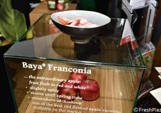 La varietà a polpa bianca e rossa Baya Franconia nello stand Bay OZ.