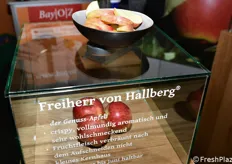 Cultivar Freiherr von Hallberg nello stand Bay OZ.
