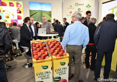 Un'altra inquadratura dello stand Evelina.