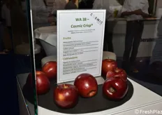 Mele della varietà Cosmic Crisp in esposizione nello stand del Centro di consulenza per la frutticoltura Beraturingsring.
