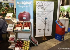 La mela Morgana, presentata anche in occasione di Fruit Attraction 2018.