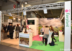 Fairplant: materiale per vivaisti, consulenza, impianti di cernita, svuotamento e riempimento casse.