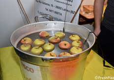 Non è affatto facile pescare una mela catturandola dal picciolo!