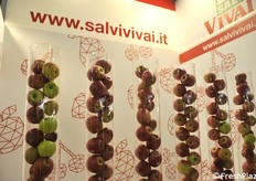 Effetto scenografico alla Salvi Vivai