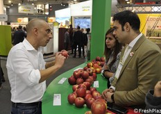 Enrico Zanzi spiega dettagli a visitatori esteri