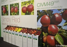 Il Civ di Ferrara ha portato in mostra numerose varietà di mele