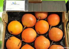 La nuova Pera Piqa Boo, in prova a New Plant