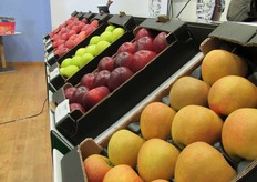 Allestimento tavolo relatori