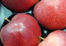 come spiegato dal sales executive, la mela si compra prima con gli occhi