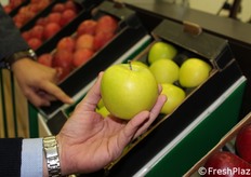 dettaglio varietà Smeralda