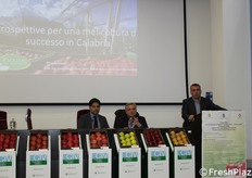 intervento del Consigliere regionale Sebi Romeo