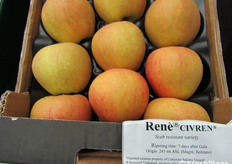 Qui e nelle foto seguenti, i dettagli delle varietà esposte nella mostra pomologica