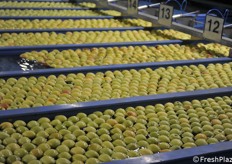 In attesa del riempimento