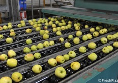 Dettagli del nastro di selezione