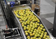 Nastro trasportatore