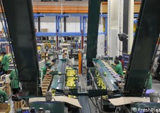 Una parte del lavoro, specie quella di confezionamento, è svolto da operatrici qualificate