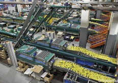 Una parte del lavoro, specie quella di confezionamento, è svolto da operatrici qualificate