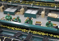 Il lavoro si svolge su due turni