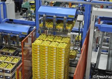 Pallet quasi completo