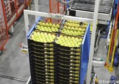 Altro pallet quasi completo