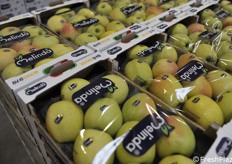 Caratteristico bauletto di mele Melinda