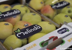 Il logo caratteristico