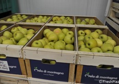 Le famose Golden della Val di Non