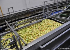 Fase di selezionamento 