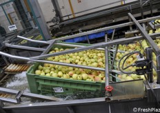 I bins immersi in acqua