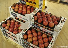 Mondo Melinda, il punto vendita dove si possono trovare tutti i prodotti del Consorzio