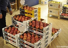 Mele in vendita a Mondo Melinda