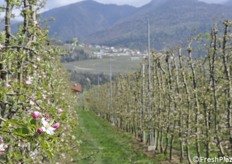 Tipico paesaggio della Val di Non