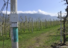 Dispenser erogatore di feromoni