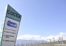 Venerdì 12 aprile 2019 Melinda ha accolto un gruppo di giornalisti per un tour di due giorni. E' stato mostrato un impianto di lavorazione presso la cooperativa Cocea e nello stesso fine settimana in paese a Segno (Trento) si è svolta Florinda, una manifestazione in concomitanza con la fioritura dei meli (Fotoservizio Cristiano Riciputi)